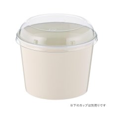 画像2: ND-80FCL用蓋（BR-100 17H）100入 (2)